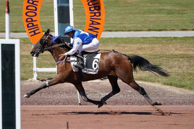 Photo d'arrivée de la course pmu PRIX DE L'ESPERANCE à CHATEAUBRIANT le Mardi 9 juillet 2019