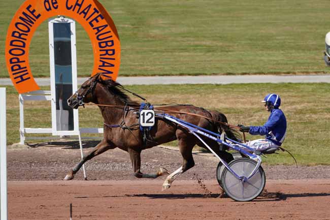 Photo d'arrivée de la course pmu PRIX TENOR DE BAUNE à CHATEAUBRIANT le Mardi 9 juillet 2019