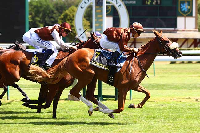 Photo d'arrivée de la course pmu PRIX D'ARMENONVILLE à COMPIEGNE le Mardi 9 juillet 2019