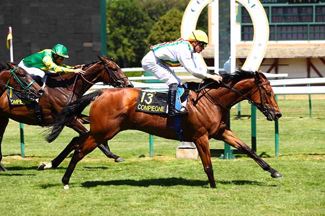 Photo d'arrivée de la course pmu PRIX DE VAUDRAMPONT à COMPIEGNE le Mardi 9 juillet 2019