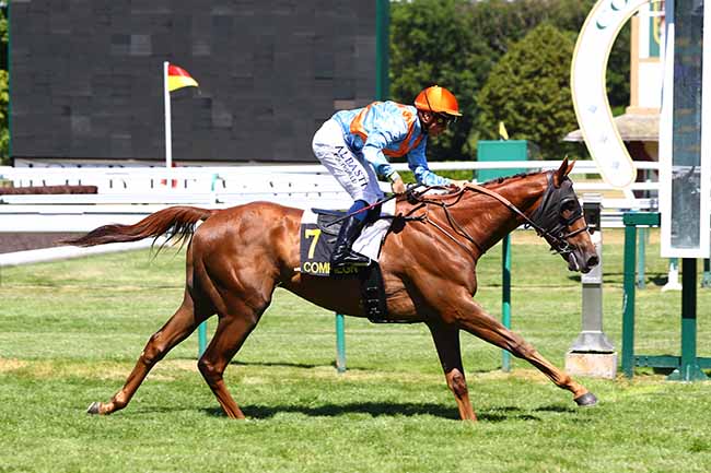Photo d'arrivée de la course pmu PRIX DE BETHIZY-SAINT-MARTIN à COMPIEGNE le Mardi 9 juillet 2019