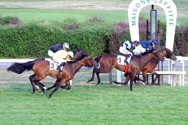 Photo d'arrivée de la course pmu PRIX DE BRETEUIL à MAISONS-LAFFITTE le Samedi 13 juillet 2019