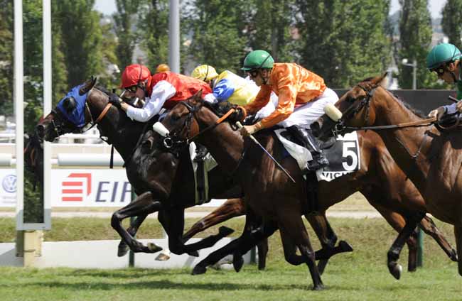 Photo d'arrivée de la course pmu PRIX DE SAINT-MENOUX à VICHY le Mardi 16 juillet 2019