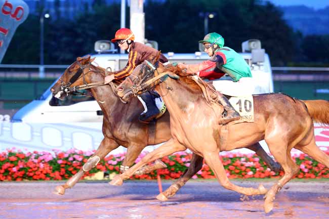 Photo d'arrivée de la course pmu PRIX AFASEC DE GRAIGNES à CABOURG le Vendredi 26 juillet 2019