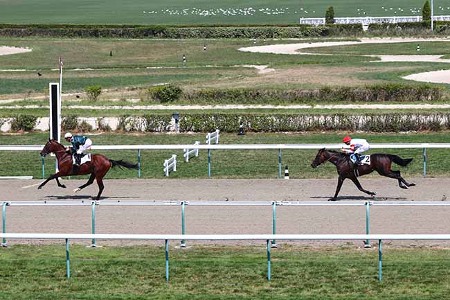 Photo d'arrivée de la course pmu PRIX D'HUDIMESNIL à DEAUVILLE le Vendredi 2 août 2019