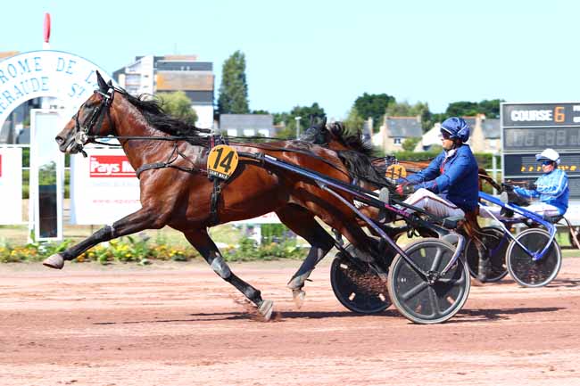 Photo d'arrivée de la course pmu PRIX INTERMARCHE DE SAINT-MALO à SAINT MALO le Mercredi 7 août 2019