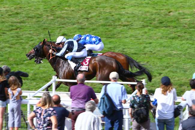 Photo d'arrivée de la course pmu PRIX DE LA POINTE DU HOC à CLAIREFONTAINE le Vendredi 9 août 2019