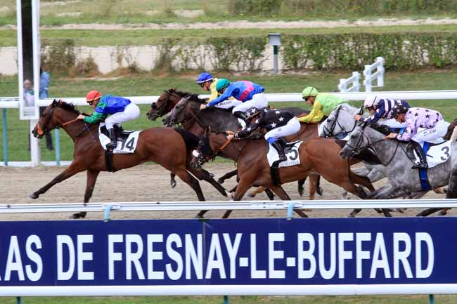 Photo d'arrivée de la course pmu PRIX DE MEZIDON à DEAUVILLE le Dimanche 11 août 2019