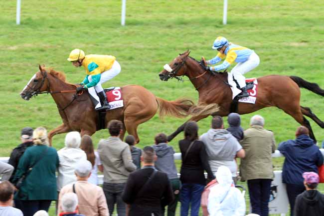 Photo d'arrivée de la course pmu PRIX DU CHEMIN DU TOCQ à CLAIREFONTAINE le Lundi 12 août 2019