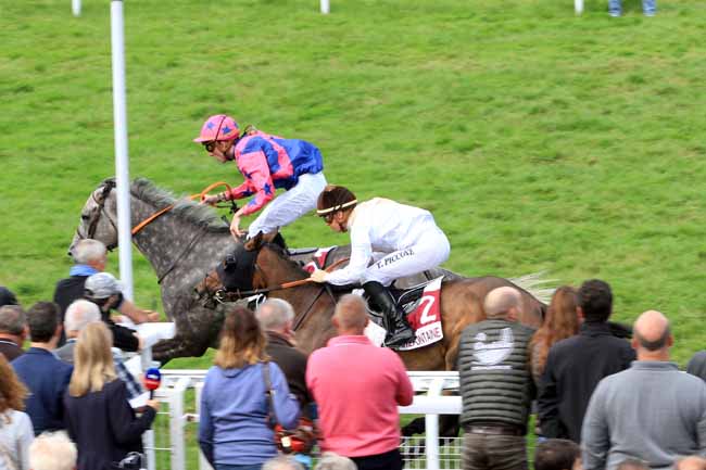 Photo d'arrivée de la course pmu PRIX DES AMARANTES à CLAIREFONTAINE le Lundi 12 août 2019