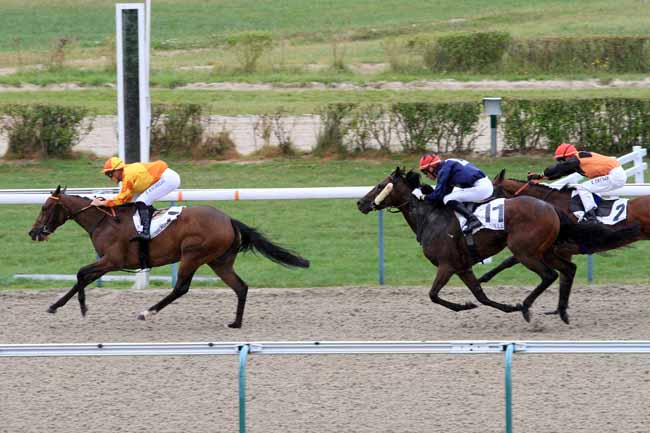 Photo d'arrivée de la course pmu PRIX DES HAUTES MOTTES à DEAUVILLE le Mardi 13 août 2019