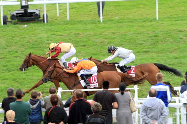 Photo d'arrivée de la course pmu PRIX ANTHONY MAIRESSE à CLAIREFONTAINE le Mercredi 14 août 2019
