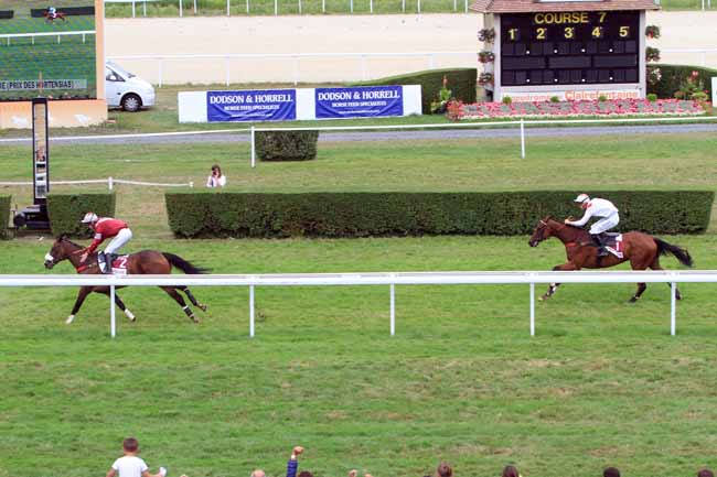 Photo d'arrivée de la course pmu PRIX MISS CHERRY CANDY ET MISS PIN UP NORMANDIE à CLAIREFONTAINE le Mercredi 14 août 2019
