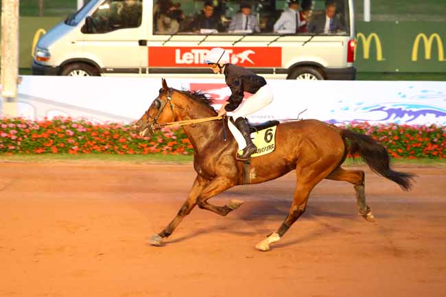 Photo d'arrivée de la course pmu PRIX DE CHERBOURG-EN-COTENTIN à CABOURG le Vendredi 16 août 2019