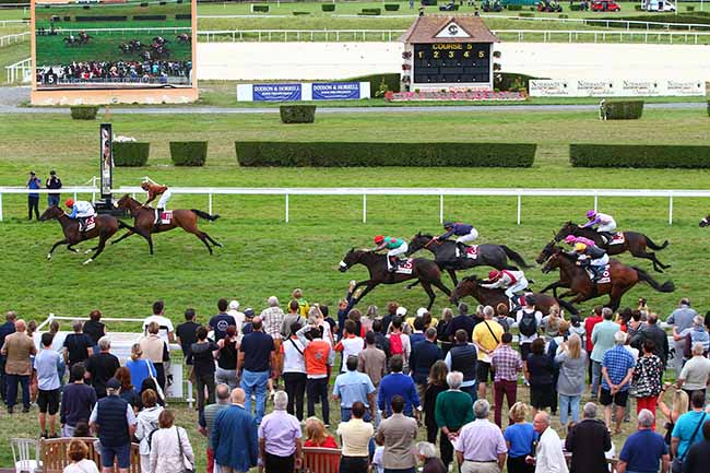 Photo d'arrivée de la course pmu PRIX BEARN PYRENEES à CLAIREFONTAINE le Vendredi 16 août 2019