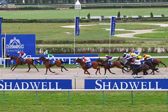 Photo d'arrivée de la course pmu PRIX ETALON MUHAARAR à DEAUVILLE le Samedi 17 août 2019