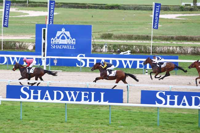 Photo d'arrivée de la course pmu PRIX ETALON MUKHADRAM à DEAUVILLE le Samedi 17 août 2019