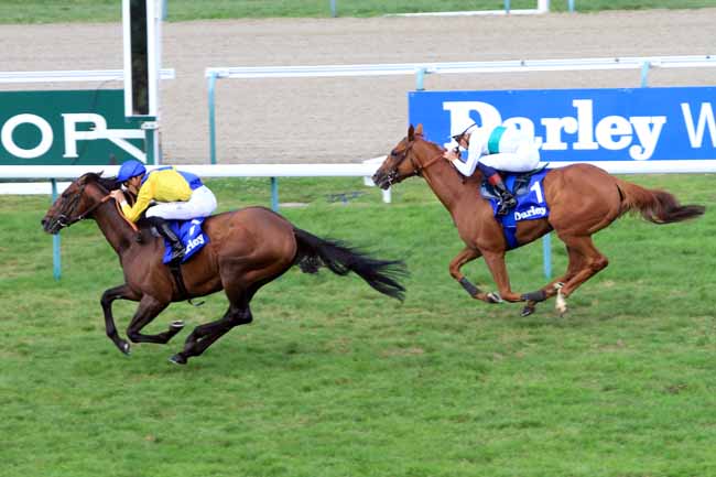 Photo d'arrivée de la course pmu DARLEY PRIX KERGORLAY à DEAUVILLE le Dimanche 18 août 2019