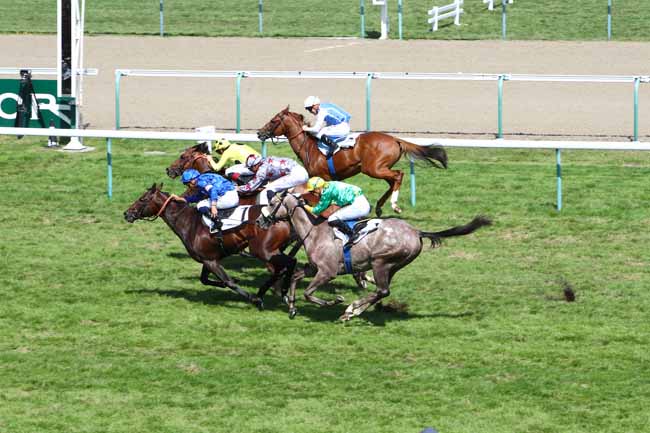 Photo d'arrivée de la course pmu ARQANA PRIX DE MONTAIGU à DEAUVILLE le Mardi 20 août 2019