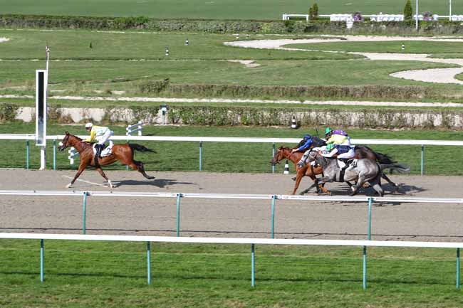 Photo d'arrivée de la course pmu PRIX DE LA VERONNE à DEAUVILLE le Mardi 20 août 2019