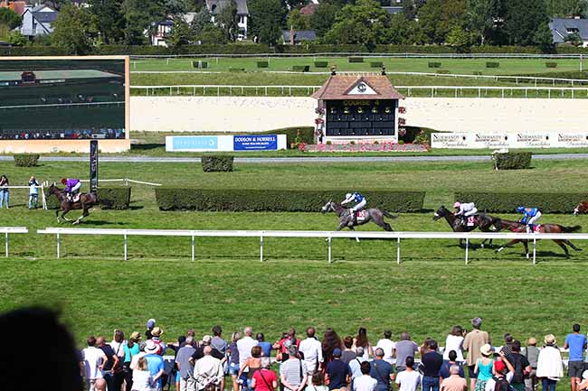 Photo d'arrivée de la course pmu PRIX DE LA VILLE DE TOURGEVILLE à CLAIREFONTAINE le Jeudi 22 août 2019