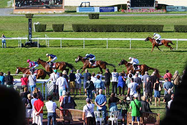 Photo d'arrivée de la course pmu PRIX JUST EQUILIBRE 2019 DARTY DEAUVILLE à CLAIREFONTAINE le Jeudi 22 août 2019