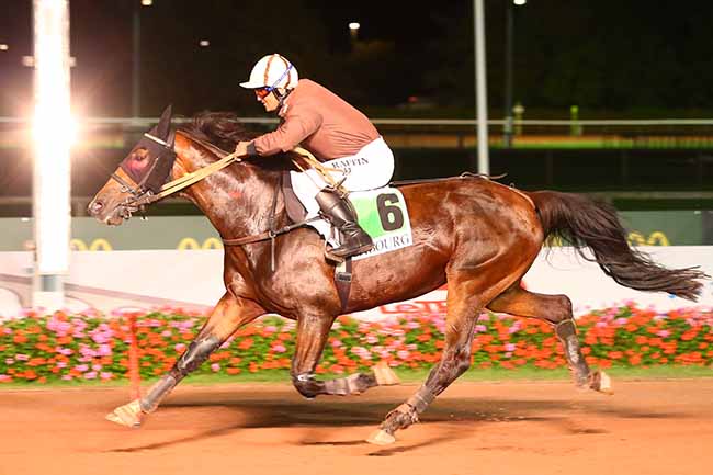 Photo d'arrivée de la course pmu PRIX DE MOULINS-LA-MARCHE à CABOURG le Vendredi 23 août 2019