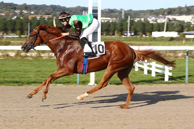 Photo d'arrivée de la course pmu PRIX TOM LANE à DEAUVILLE le Vendredi 23 août 2019