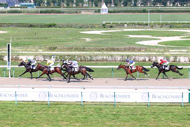 Photo d'arrivée de la course pmu PRIX DE CRICQUEVILLE à DEAUVILLE le Mardi 27 août 2019
