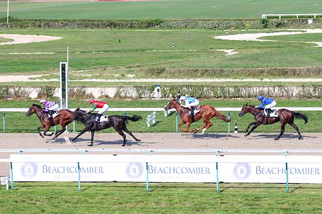 Photo d'arrivée de la course pmu PRIX DU LOUVET à DEAUVILLE le Mardi 27 août 2019