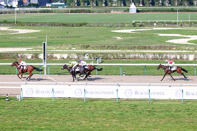 Photo d'arrivée de la course pmu PRIX DU MONT CANISY à DEAUVILLE le Mardi 27 août 2019