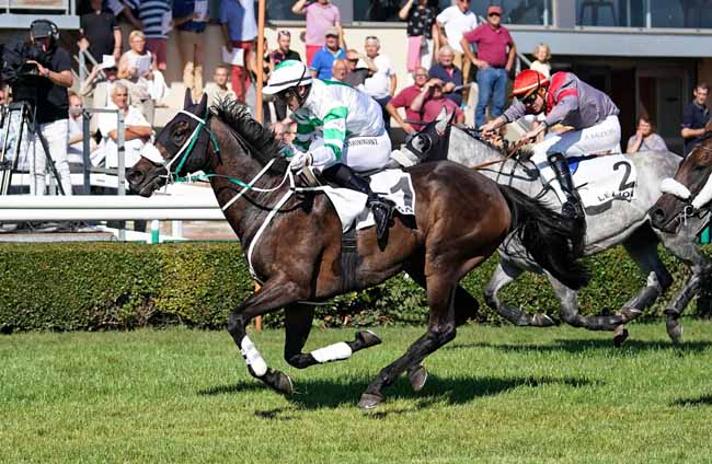Photo d'arrivée de la course pmu PRIX OLIVIER D'ANDIGNE à LE LION D'ANGERS le Jeudi 29 août 2019