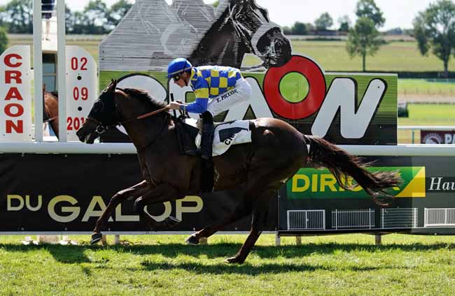 Photo d'arrivée de la course pmu PRIX HELIOS QUERCUS à CRAON le Lundi 2 septembre 2019