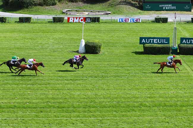 Photo d'arrivée de la course pmu PRIX RECRUIT II à AUTEUIL le Mardi 3 septembre 2019