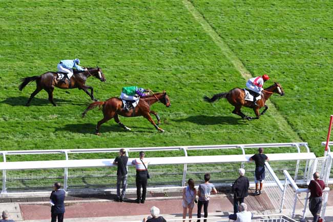Photo d'arrivée de la course pmu PRIX MORTEMART à AUTEUIL le Mardi 3 septembre 2019