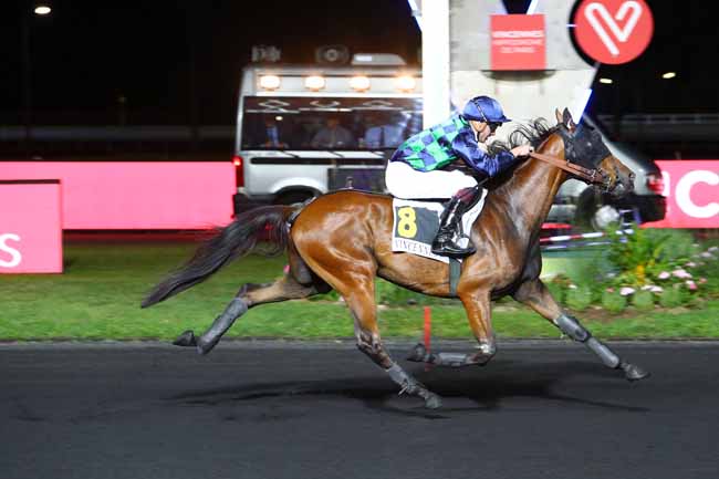 Photo d'arrivée de la course pmu PRIX BRUNHILD à PARIS-VINCENNES le Mardi 3 septembre 2019