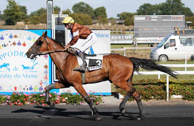 Photo d'arrivée de la course pmu PRIX DU CREDIT MUTUEL à MESLAY-DU-M. le Mercredi 4 septembre 2019