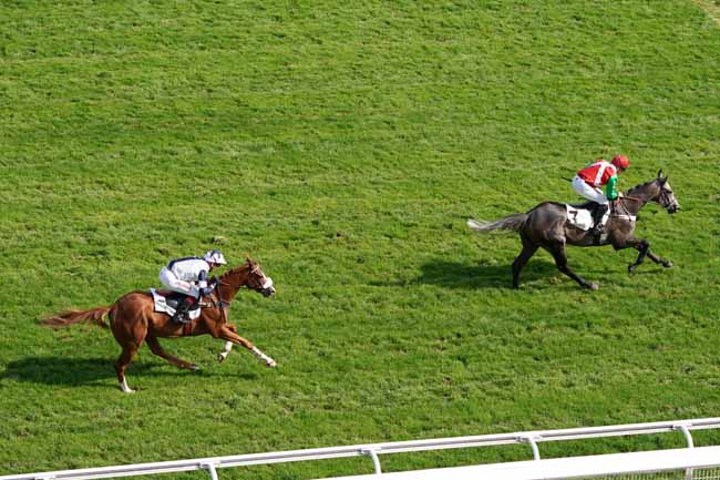 Photo d'arrivée de la course pmu PRIX CADOUDAL à AUTEUIL le Vendredi 6 septembre 2019