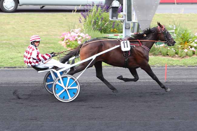 Photo d'arrivée de la course pmu PRIX JOSEPH AVELINE à PARIS-VINCENNES le Samedi 7 septembre 2019