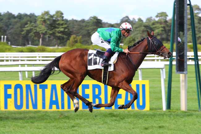 Photo d'arrivée de la course pmu GRAND PRIX DE FONTAINEBLEAU - FONDS EUROPEEN DE L'ELEVAGE à FONTAINEBLEAU le Samedi 7 septembre 2019