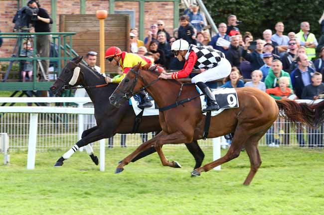 Photo d'arrivée de la course pmu PRIX EES CLEMESSY CENTRE-EST à FONTAINEBLEAU le Samedi 7 septembre 2019