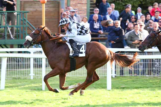 Photo d'arrivée de la course pmu PRIX HOTEL MERCURE CHATEAU DE FONTAINEBLEAU à FONTAINEBLEAU le Samedi 7 septembre 2019