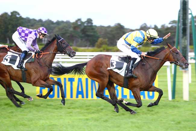 Photo d'arrivée de la course pmu PRIX GEORGES COURTOIS à FONTAINEBLEAU le Samedi 7 septembre 2019