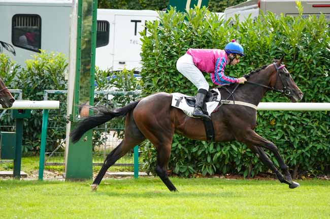 Photo d'arrivée de la course pmu PRIX DE SAINT-FIRMIN à CHANTILLY le Lundi 9 septembre 2019