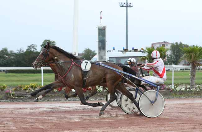 Photo d'arrivée de la course pmu PRIX ULSTER DU CADRAN à TOULOUSE le Mardi 10 septembre 2019