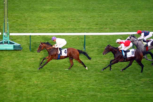 Photo d'arrivée de la course pmu PRIX DU ROUVRAY à LONGCHAMP le Jeudi 12 septembre 2019