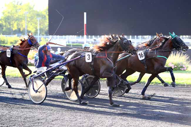 Photo d'arrivée de la course pmu PRIX ALHENA à PARIS-VINCENNES le Vendredi 13 septembre 2019