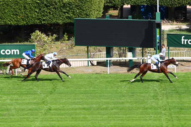 Photo d'arrivée de la course pmu PRIX TURENNE à SAINT-CLOUD le Vendredi 13 septembre 2019
