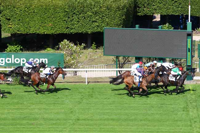 Photo d'arrivée de la course pmu PRIX PELAT à SAINT-CLOUD le Vendredi 13 septembre 2019