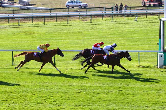 Photo d'arrivée de la course pmu QATAR PRIX DU PETIT COUVERT à LONGCHAMP le Dimanche 15 septembre 2019